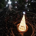 Illuminato l'albero di Natale in piazza Vittorio Emanuele II