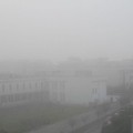 La nebbia torna a far capolino a Bisceglie