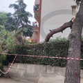 Forza Italia Bisceglie: «Continuiamo a scherzare col fuoco, ma la fortuna prima o poi finisce»