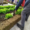 Gli scolari del plesso  "Puglisi " donano alla Caritas il raccolto dell'orto didattico. Foto