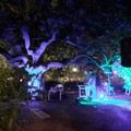 Una serata coinvolgente con Lorenzo Kruger al Giardino Botanico