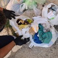 Abbandono rifiuti, proseguono i controlli degli operatori dell'igiene urbana