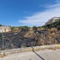 Incendi boschivi in città, Spazio Civico: «Ci sono stati controlli nelle aree pubbliche e private?»