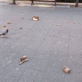 Forti botti e fuochi d'artificio illegali nella notte: scatta la protesta dei cittadini