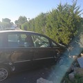 Auto fuori strada sulla Corato-Ruvo: ferito un 22enne biscegliese