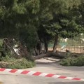 12enne morta schiacciata da un albero, Sinistra Italiana: «È il momento del dolore, non degli sciacalli»