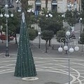 L’albero di Carnevale