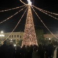 Inizia il Natale biscegliese con l'accensione del grande albero