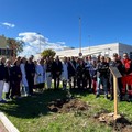 "Un Albero per la Vita " cerimonia davanti all'ospedale "Vittorio Emanuele II " di Bisceglie
