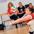 Star Volley Bisceglie,  al palleggio Alessia Lerario