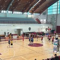 È tutto pronto: Star Volley Bisceglie all’esordio nel campionato di Serie B1