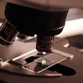 Coronavirus, l'associazione  "Giovanni Paolo II " raccoglie fondi per test anticorpali