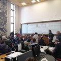 Crisi del comparto pesca, Bisceglie all'assemblea in regione