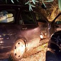 Auto rubata a Bisceglie recuperata dai Metronotte di Ruvo