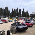 Tra storia e motori, grande successo per il Raduno di Primavera sul Lungomare di Bisceglie