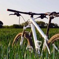 Biciliæ Fiab organizza una ciclopasseggiata nell'agro biscegliese