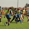 Bisceglie Rugby: parte la nuova stagione con la fase “off season”
