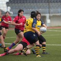 Il Bisceglie Rugby lotta ma cede il passo al Rugby i Briganti