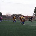 Il Fùtbol Cinco sfida il Futsal Terlizzi, in palio la finalissima playoff