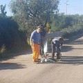 Chiuse le due buche in zona Lama di macina