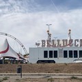 Circo Bellucci, Bisceglie protesta per il maltrattamento degli animali: «Questo non può essere divertimento»