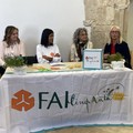 Giornate FAI d'autunno: le aperture a Bisceglie - LE INTERVISTE