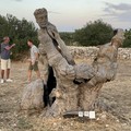 Solidarietà in natura, ContestoLab fa tappa in una masseria di Bisceglie