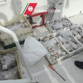 Guardia costiera in azione contro il mancato rispetto del fermo pesca