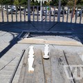 Cassa armonica vandalizzata: lo sdegno del Comitato Feste Patronali