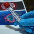 Coronavirus, nove casi positivi in Puglia