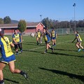 Sconfitta all’esordio in campionato per il Bisceglie Rugby