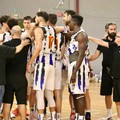 Lions Bisceglie, solo applausi