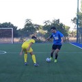 Il Futbol Cinco Bisceglie rinnova la fiducia a D'Elia, Lamanuzzi e La Notte
