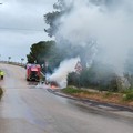 Auto in fiamme sulla complanare Bisceglie Ovest