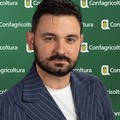 Confagricoltura Bari-Bat: “L’agricoltura biscegliese è un esempio di resilienza e innovazione”