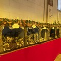 Pro Loco Bisceglie presenta mostra “Diorama - Presepi pasquali” nella Basilica di san Giuseppe