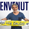 Domenico Capurso sulla panchina del Don Uva