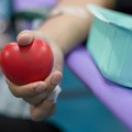 Donazioni di sangue, riapre il centro di raccolta dell'ospedale