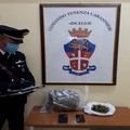 Brindisini bloccati a Bisceglie con 1.2 kg di marijuana in auto