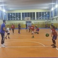 Esordienti e Under 13 Lions al torneo “Ciao Rudy” di Pesaro