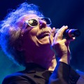 Annullato il concerto di Fabio Concato alla Svevarena