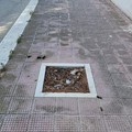 268 alberi mancanti in 10 strade, la segnalazione di Spazio Civico Bisceglie