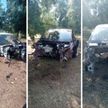 Ancora scocche di auto rubate: nuovo ritrovamento nell’agro di Bisceglie