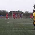 Futbol Cinco, pari con l'Alta Futsal. Martedì sera torna la Coppa Puglia