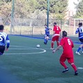 Pellegrino Sport-Futbol Cinco posticipata a domenica 9 dicembre