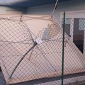 Vandali nell'atrio del PalaCosmai, rotta parte di recinzione e danni a un gazebo