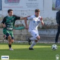 Conferma in mezzo al campo per l'Unione Calcio Bisceglie: Giuseppe Andriano proseguirà in azzurro
