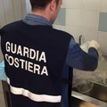 Controlli della Guardia Costiera nella Bat, 22 violazioni riscontrate