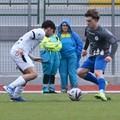 Unione Calcio Bisceglie, triplo colpo tra qualità, corsa ed entusiasmo: arrivano Alexis Ramos e Fulvio Amato, confermato Ndiaga Ngom