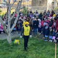 Legambiente Bisceglie e il Circolo Didattico: per la  "Festa dell'albero " piantate oltre 200 alberature